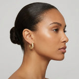 Zircon Circle Hoop Earrings
