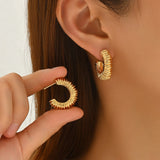 Lava Texture Chunky Hoop Earrings