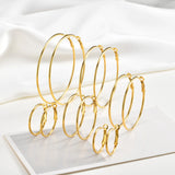 Classic Big Circle Hoop Earrings